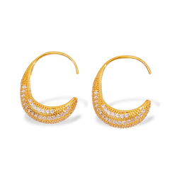 Radiant Lunar Embrace Earrings